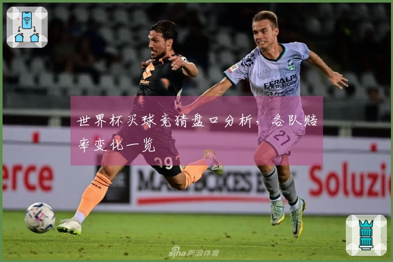 世界杯买球竞猜盘口分析，各队赔率变化一览
