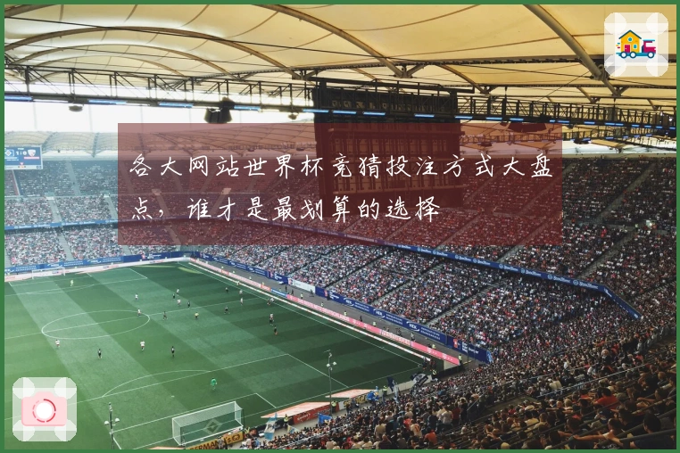 各大网站世界杯竞猜投注方式大盘点，谁才是最划算的选择