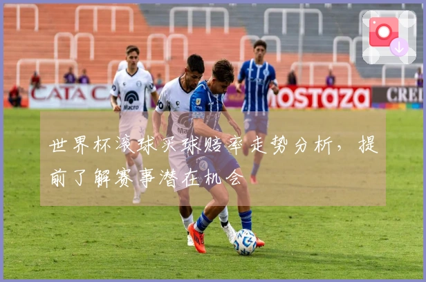 世界杯滚球买球赔率走势分析，提前了解赛事潜在机会