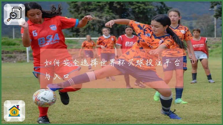 如何安全选择世界杯买球投注平台与入口