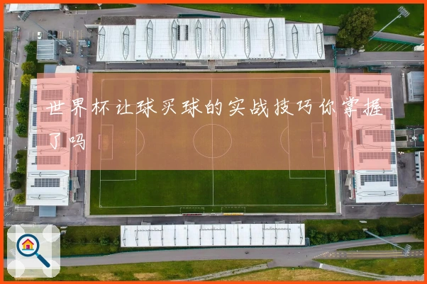 世界杯让球买球的实战技巧你掌握了吗