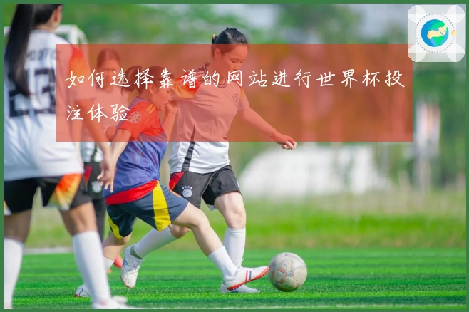 如何选择靠谱的网站进行世界杯投注体验