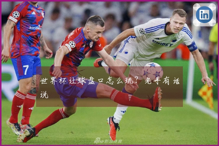 世界杯让球盘口怎么玩？老手有话说