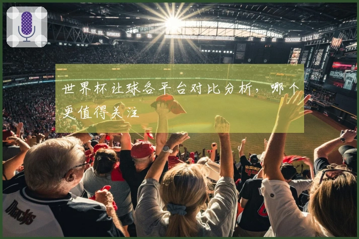 世界杯让球各平台对比分析，哪个更值得关注