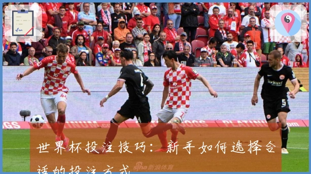 世界杯投注技巧：新手如何选择合适的投注方式